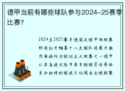德甲当前有哪些球队参与2024-25赛季比赛？
